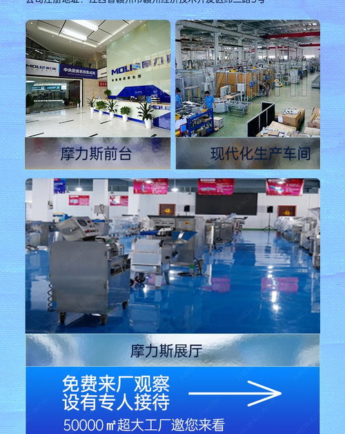 食品工厂萝卜加工流水线 果蔬加工成套设备